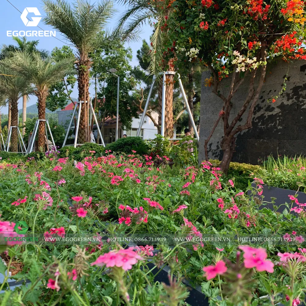 Góc sân nào cũng ngập tràn sắc hoa khiến tâm hồn thư thái, bỏ quên muộn phiền.